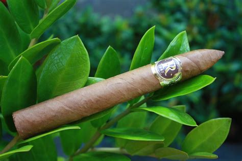 The Iconic Cuban Cigar A History 2luxury2com