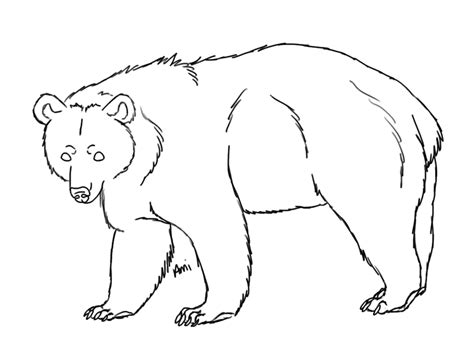 Animals, cartoons, how to draw, under 5, valentine's day tagged with: Line Drawing Bear at GetDrawings | Free download