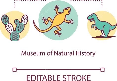 Jurassic Creature Exhibit Icon For Natural History Museum Vector