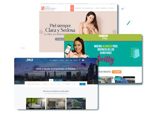 Diseño De Páginas Web Profesionales Digitalweb Panama