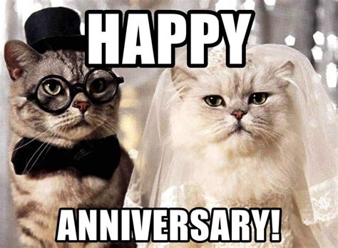 Happy anniversary meme for wife: Wedding Anniversary Meme For Wife, Husband and Loved Ones in 2020 | Anniversary meme, Happy ...