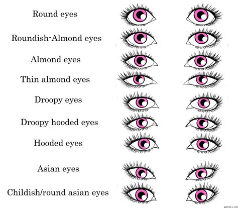 Determine Your Eye Shape Mine Is Round Formas De Olho Inspiração