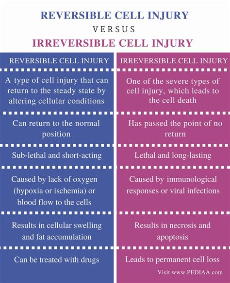 Difference Between Reversible And Irreversible Cell Injury Pediaacom