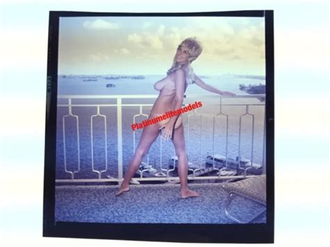 Bunny Yeager Original Color Camera Transparency Bikini Model Ruth My