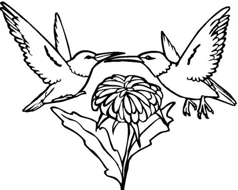 19 best coloring pages birds images on pinterest #2538916. Hummingbird Coloring Pages Printable at GetColorings.com ...