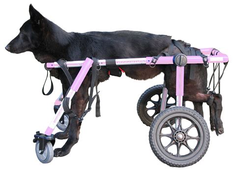 Front Wheel Wheelchair Attachment How To Build A Dog Wheelchair For A