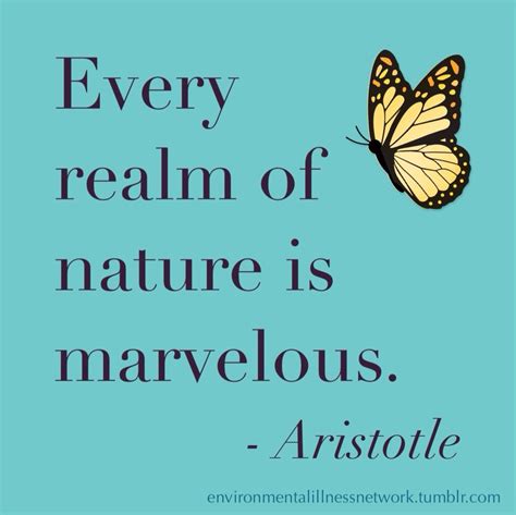 In nature, nothing is perfect and everything is perfect. "Every realm of nature is marvelous." - Aristotle | Nature quotes, Flower quotes, Nature
