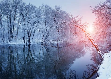 Beautiful Winter In Forest On The River At Sunset Stock Photo Image