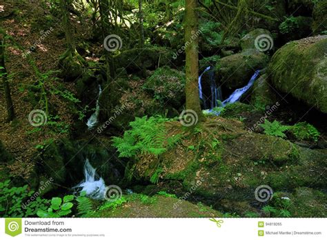 Gertelbach Waterfalls Black Forest Germany Stock Image Image Of