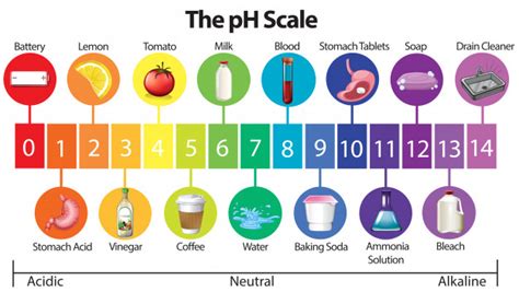El ph de una disolución puede medirse mediante una valoración, que consiste en la neutralización del ácido (o base) con una cantidad determinada de base (o ácido) de concentración conocida, en presencia de un indicador (un compuesto cuyo color varía con el ph). tabla-ph-alimentos-leche-horchata-neutro-ingredientes-base ...