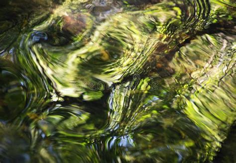 Blurred Green Background Of Forest River Stock Image Image Of Liquid