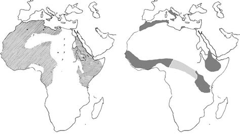 Range Of The Hystrix Cristata Complex According To Different Authors