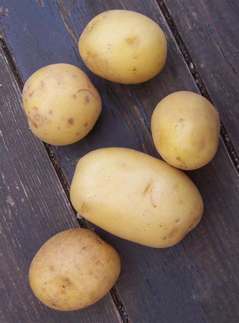 Blog 75 Recettes Légumes- Pommes de terre rôties au four