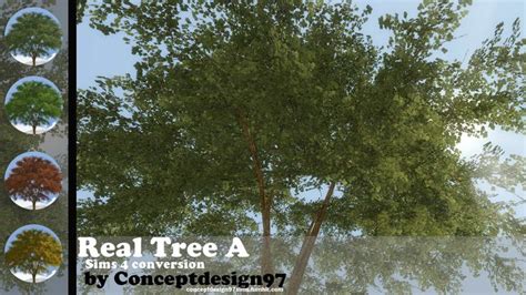Ts4 Real Tree A Sims 4 Sims Sims 4 Studio