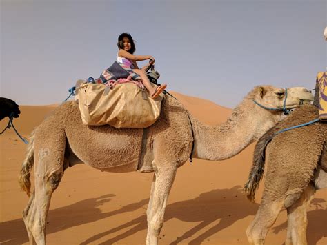 I was also curious why so much toxicity about pvp to the point that i believed we were truly losing. Camel Riding Tips for Desert Adventures (and Dummies ...