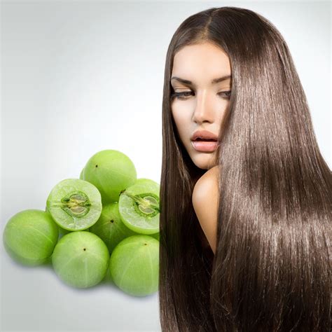 13 giờ trước để giải mã ẩn số về cực đông nước nga, pyotr đại đế đã phải thuê một nhà đi biển người đan mạch tên là.xem tiếp>>>. Quả AMLA - Siêu thực phẩm của người Ấn Độ | lacogarden.vn