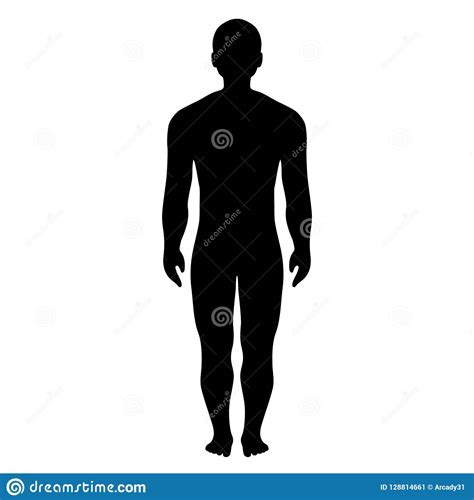 Menselijk Mannelijk Lichaams Vectorsilhouet Vector Illustratie