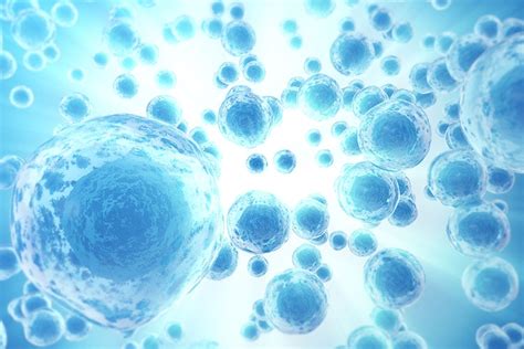 Check spelling or type a new query. Scientists "turn back time" on cancer using new stem cell ...
