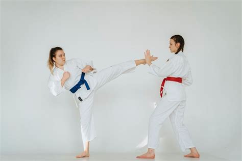 Ordem De Faixas Do Judo