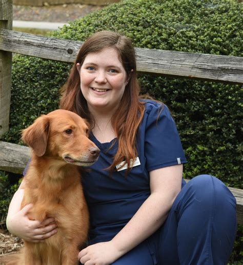 Our Team North Paw Animal Hospital In Durham Nc