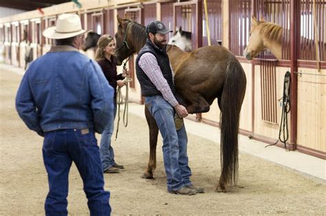 5.0 from 1 verified review. Equine - Red Lodge Veterinary Clinic