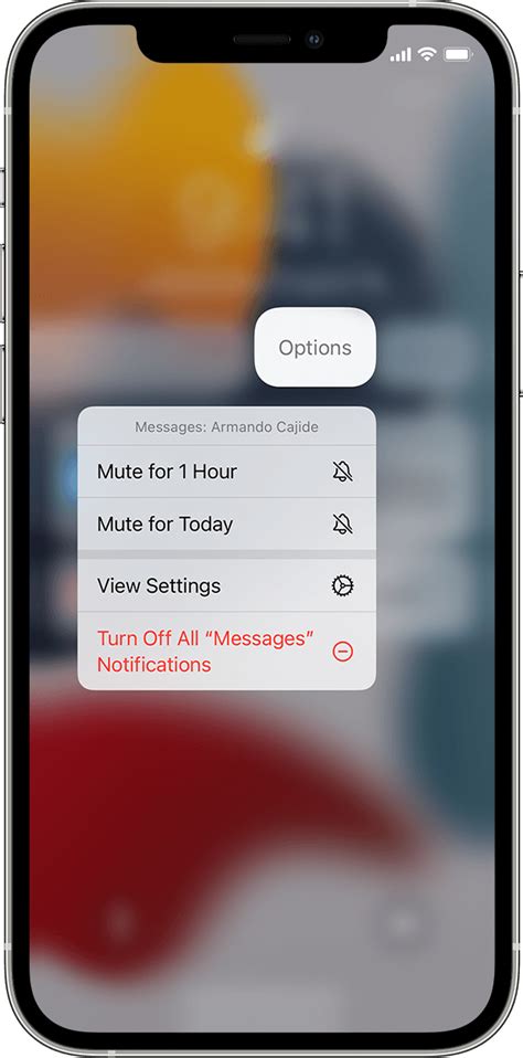 Use Notifications On Your Iphone Ipad And Ipod Touch Apple Support