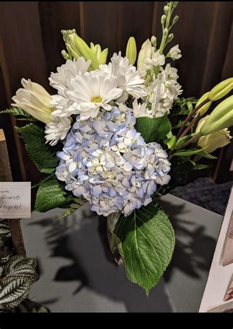 Echovita Reviews - 1,686 Reviews of Echovita.com | Sitejabber