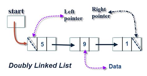 Program For Doubly Linked Lists In C And Algorithm Techfinite