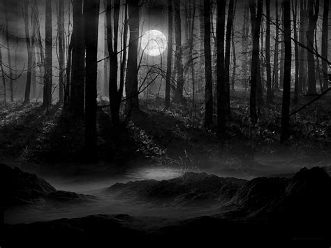 9.7 1920x1080 118709 wolf, silhouette, moon. Secluded Dark Woods Wallpaper - High Definition, High ...