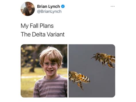 50 Best My Fall Plans Vs The Delta Variant Memes Man Of Many