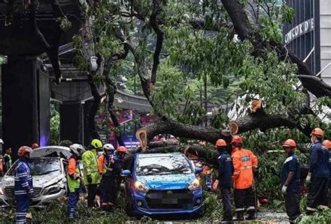 Insiden Pokok Tumbang Waris Keluarga Layak Terima Faedah Perkeso