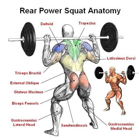Power Of The Squat Squat Workout Muscle Fitness Leg Workout