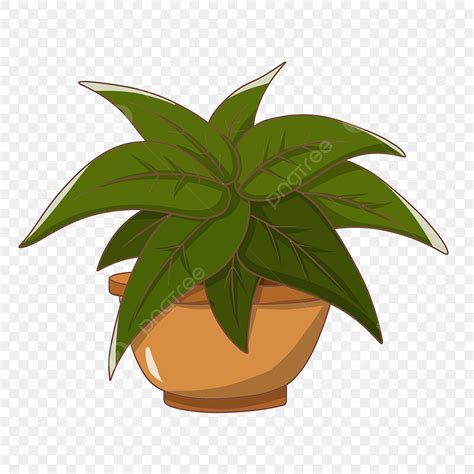 Desenhos Para Vasos De Plantas
