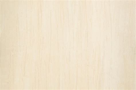 Birch Plank Texture