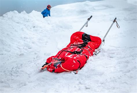 Rescue Sled Stock Photos Pictures And Royalty Free Images Istock