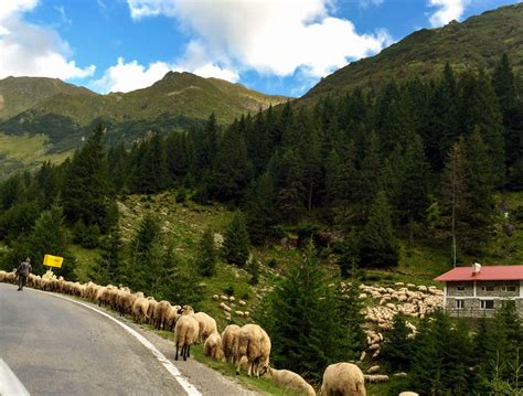 Romania Road Trip The Exhilarating Transfagarasan Scenic Drive