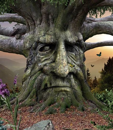 Old Man Tree Faces Magical Tree Tree Sculpture