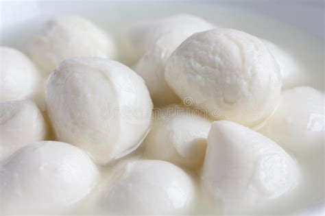Small White Mozzarella Balls Stock Photo Image Of Mozzarella Meal