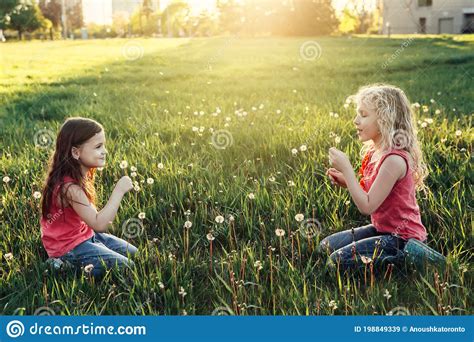 Cute Adorable Caucasian Girls Blowing Dandelions Kiids Sitting In Grass On Meadow Outdoors Fun