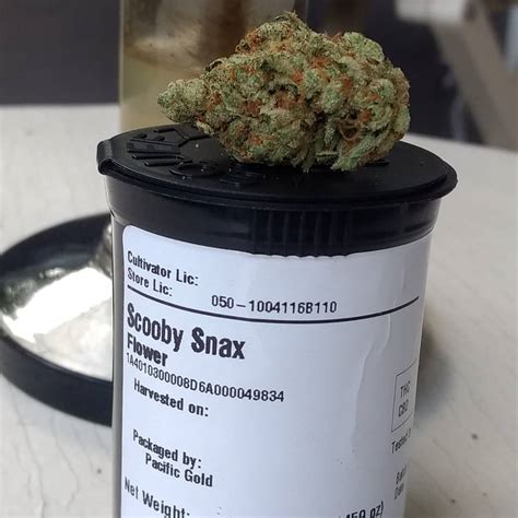 Scooby Snacks Weed