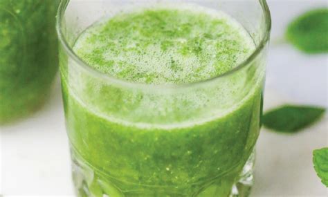 Mint Juice Complete Information Including Health Benefits Selection