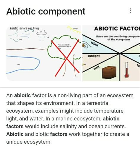 What Is Abiotic Component Brainlyph