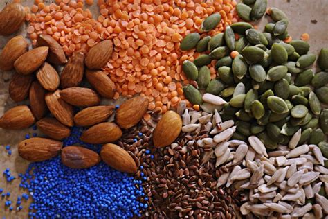 how to soak and sprout nuts seeds grains and legumes