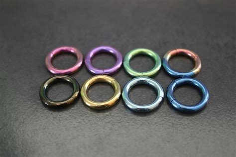 8g Segment Rings Purely Piercings
