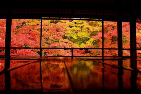 De gournay helps realise your dreams of a perfect interior. Japan Wallpapers ·① WallpaperTag