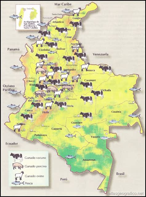 La Ganadería En Colombia Atlas Geografico