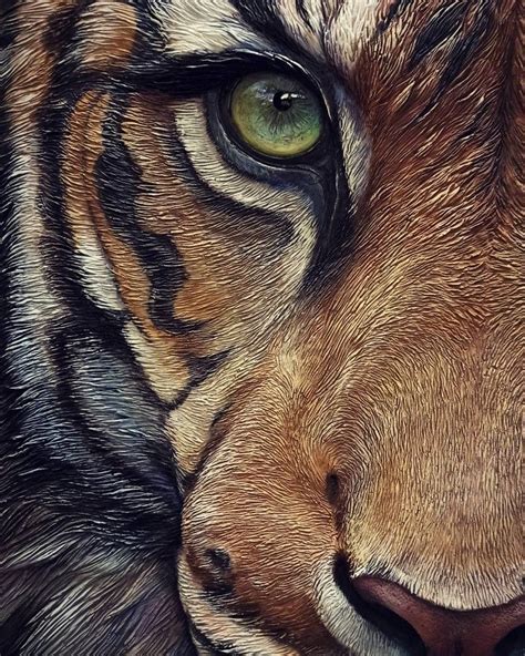 Pin by Sergey Svezhinin on барельеф Tiger art Tiger artwork