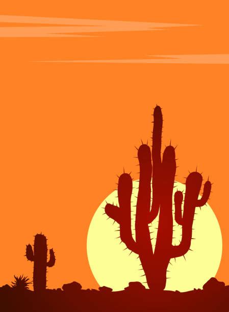 250 Arizona Desert Sunset Drawing Stock Photos Pictures And Royalty