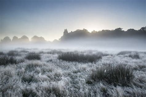 Beautiful Autumn Fall Foggy Dawn Landscape Over Frost Covered Field And