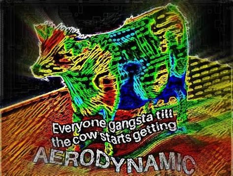 Aerodynamic Cow 👌 Stupid Memes Funny Memes Stupid Funny Memes